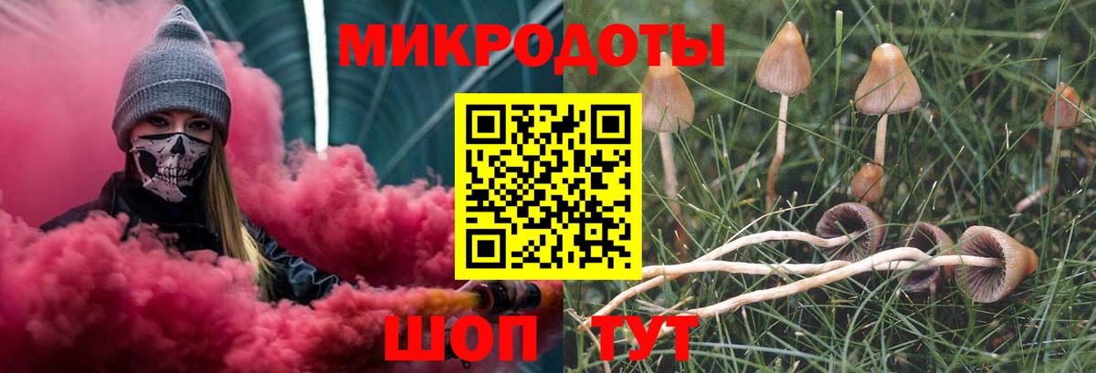 Галлюциногенные грибы Cubensis  Галлюциногенные грибы мицелий  Вход с VPN  Канаш 